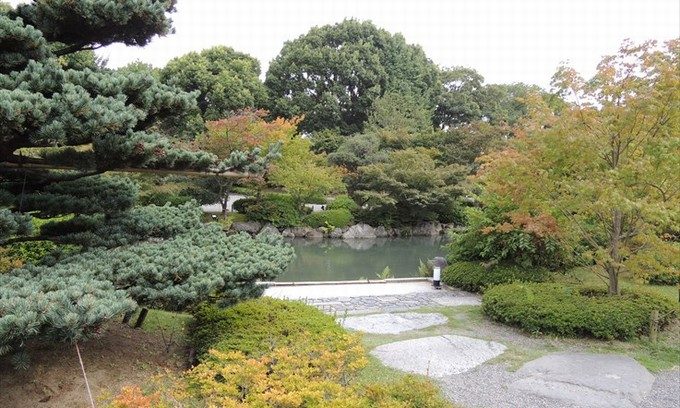 10池
