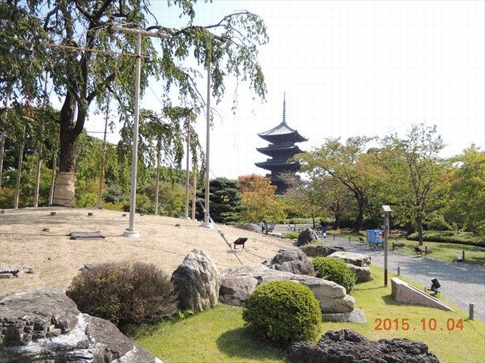 7不二桜と五重塔
