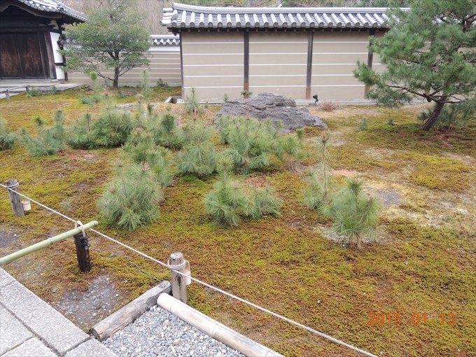8庫裏前の庭園2