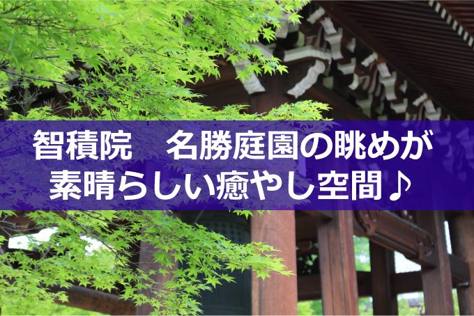 智積院と青い紅葉-01