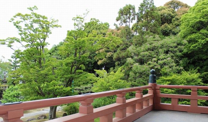 10金堂からの長め