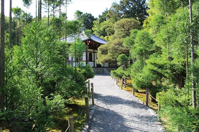 47納骨堂（涅槃堂）が見えてきた