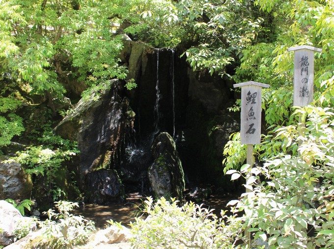 41龍門の滝