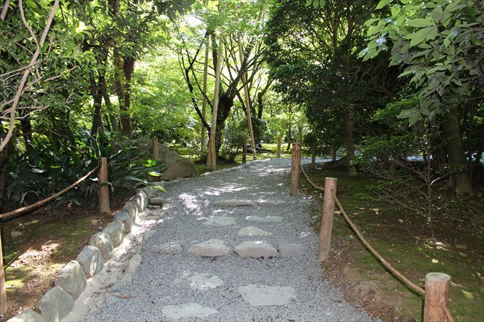44寄り道