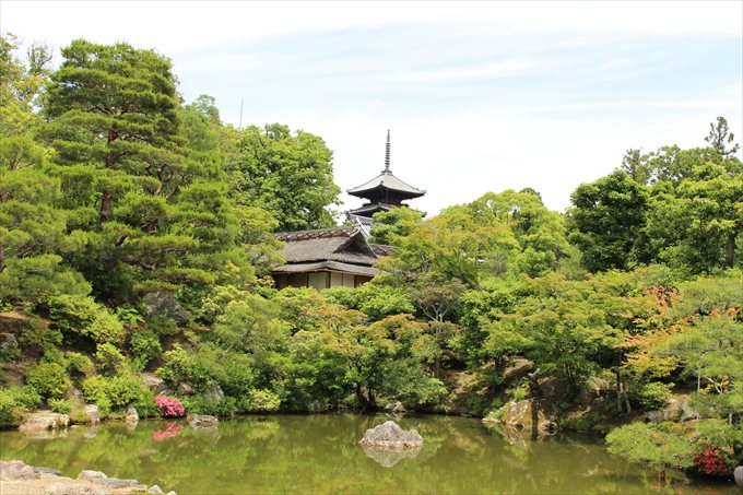 仁和寺の見どころは？御朱印はどこで頂けるの？