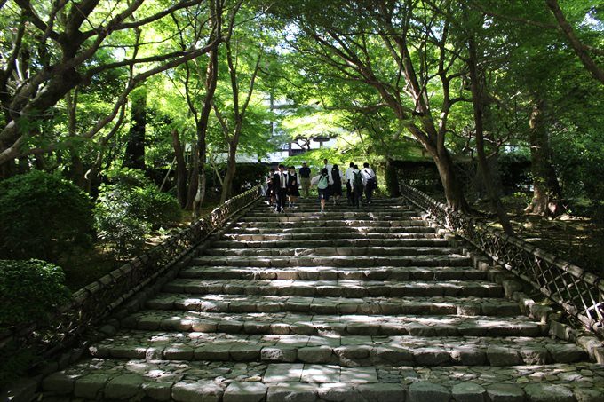 10参道の石段