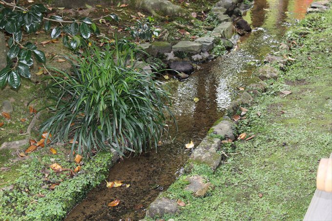 19水が綺麗