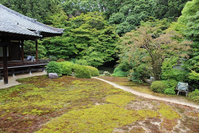 30本堂前の庭