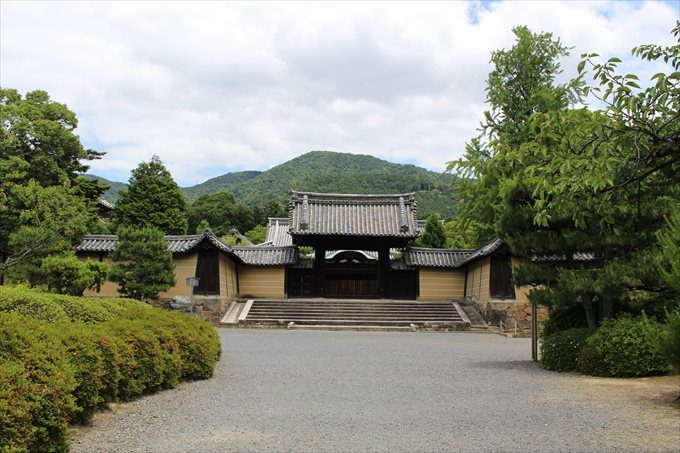 52牛皮山と薬医門