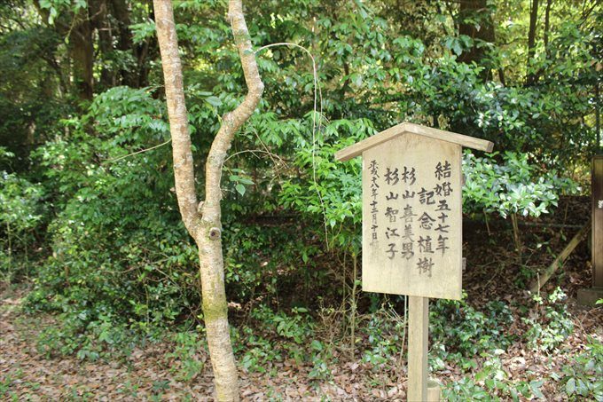 20結婚記念の植樹