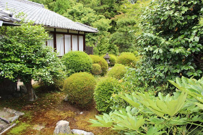 20中庭
