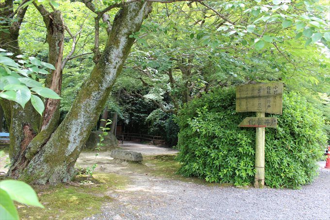 47化粧井戸案内