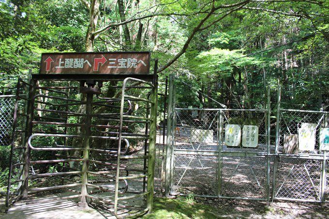 47上醍醐へ向かう道