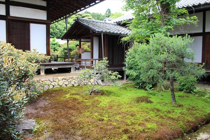 22中庭