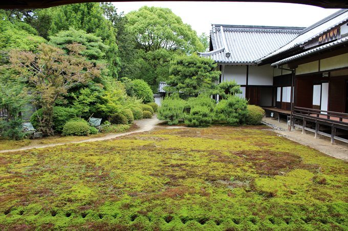 33本堂から見た庭