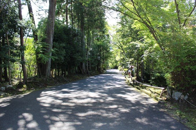 0曼殊院へ向かう道を振り返ったところ