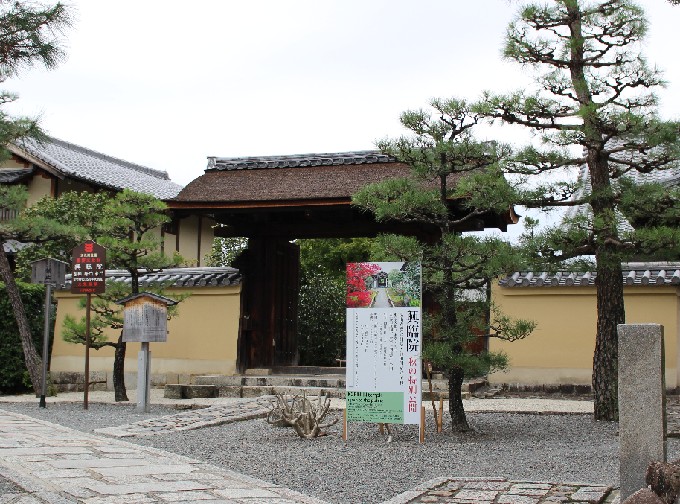 大徳寺の特別公開で総見院・興臨院・黄梅院を参拝♪御朱印も！