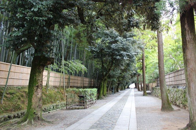 40まっすぐ行くと左に竹やぶ