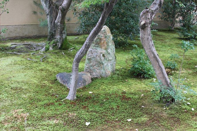 31苔むした庭
