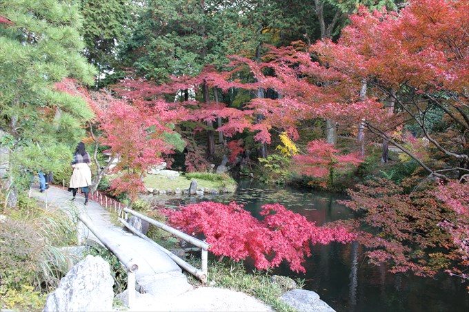 40紅葉と鎧の池