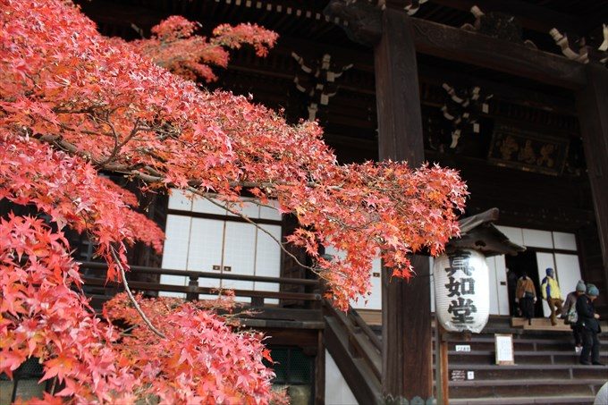 20本堂アップと紅葉