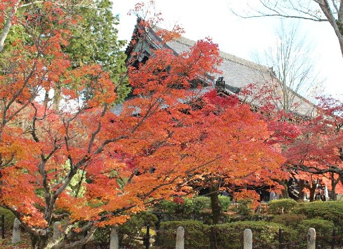 21本堂の屋根と紅葉