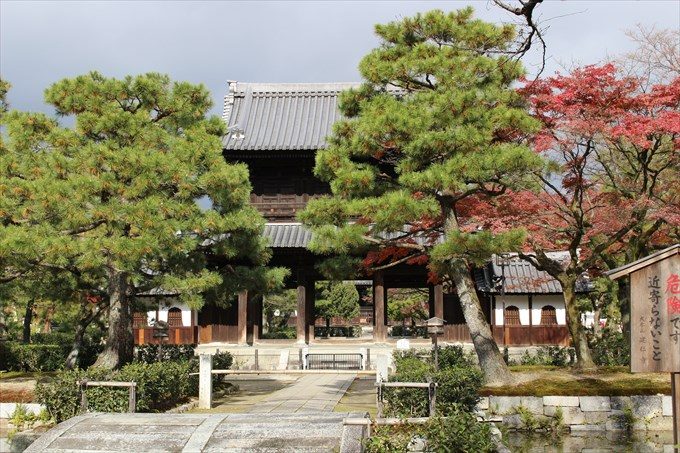65三門