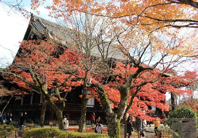 17本堂と紅葉