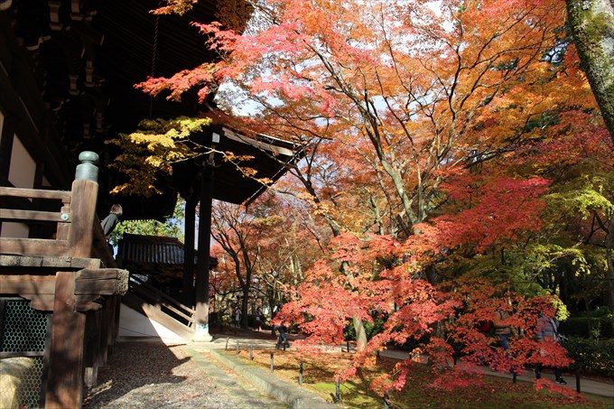 42境内の紅葉と本堂