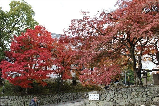 59境内の紅葉