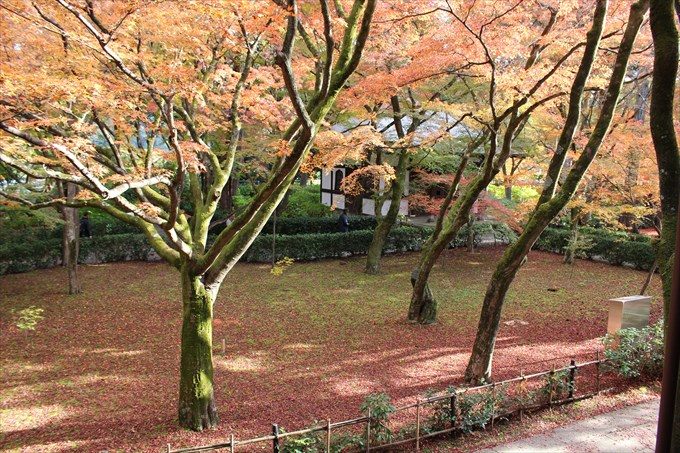 44本堂から撮った万霊堂1