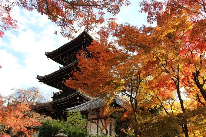 6三重塔と黄色い紅葉