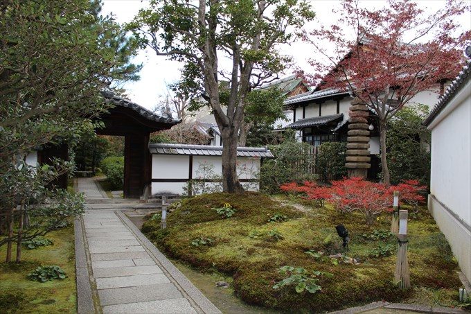 11入り口の庭