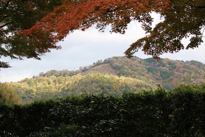 31涅槃の庭から眺める大文字山