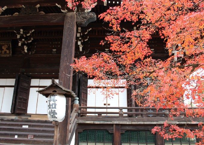 20本堂アップと紅葉2