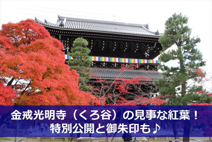 金戒光明寺 くろ谷 の紅葉 特別公開と御朱印も 京都をぶらり お寺 神社 御朱印のブログ