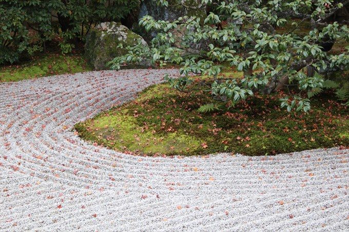 21南庭の散り紅葉