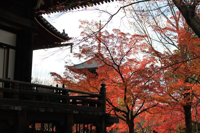 10本堂と紅葉と三重塔