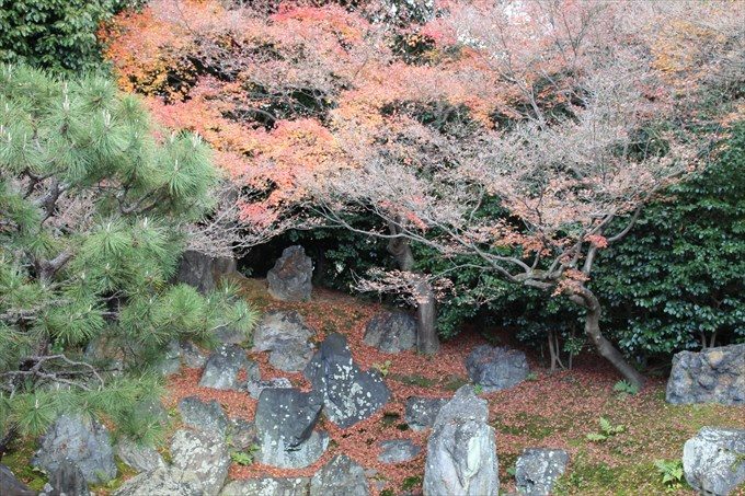 46圓徳院の北庭アップ2