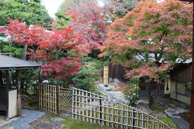 35庭と紅葉