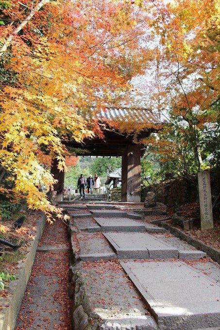 5台所坂の門を逆から