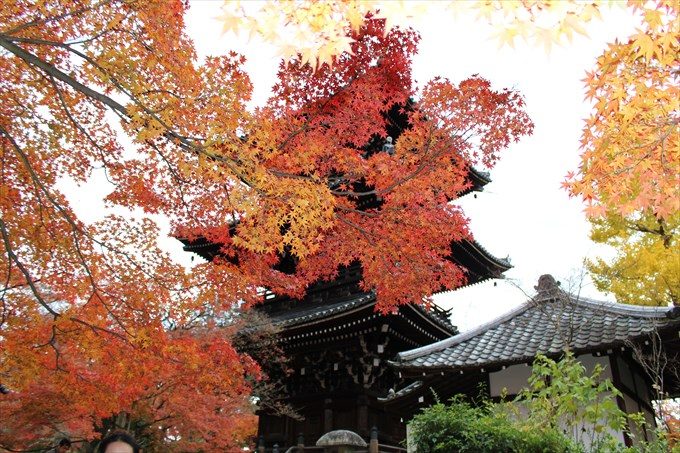 7キレイな紅葉