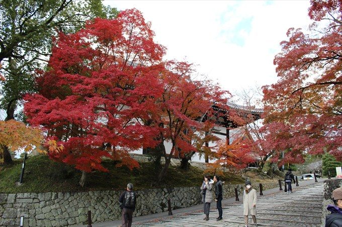 60境内の紅葉