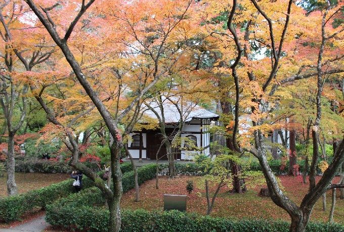 45本堂から撮った万霊堂
