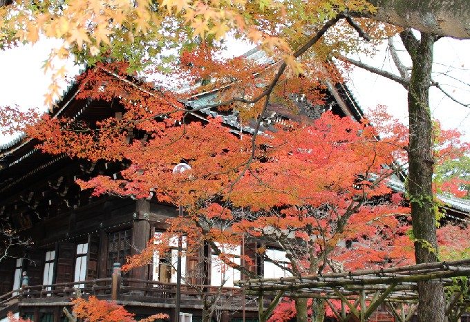 19鐘楼のあたりから本堂