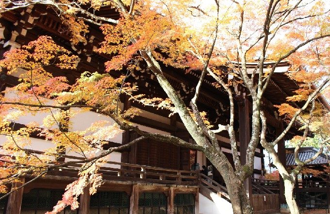 47本堂の裏側