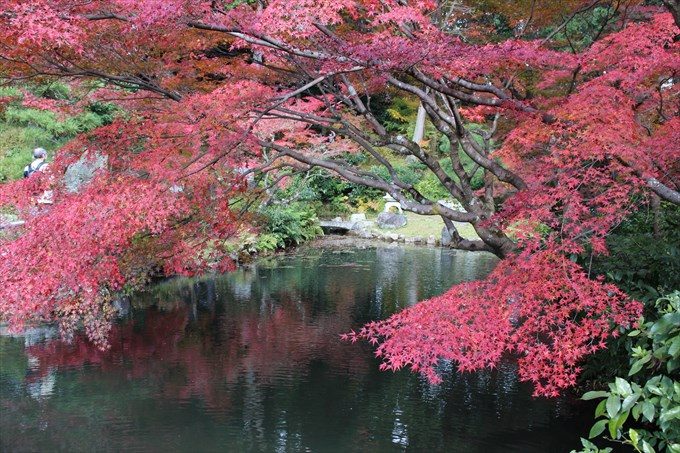 38紅葉と鎧の池