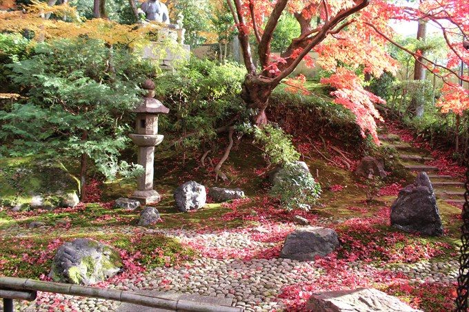 71栄摂院の庭
