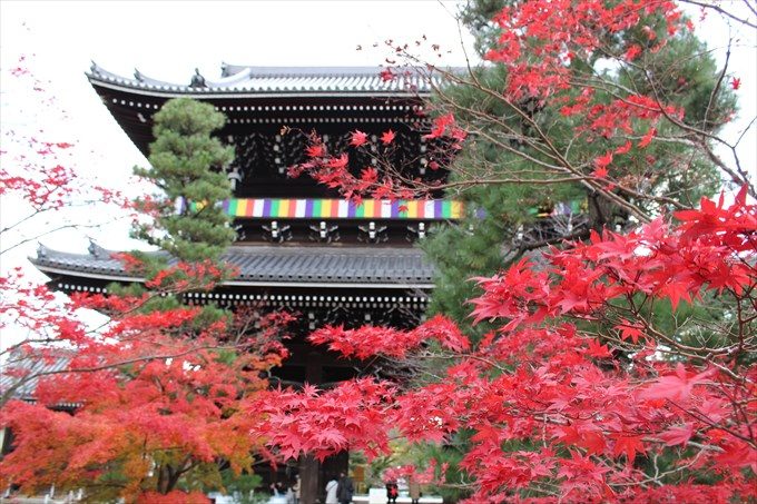 17山門と紅葉アップ