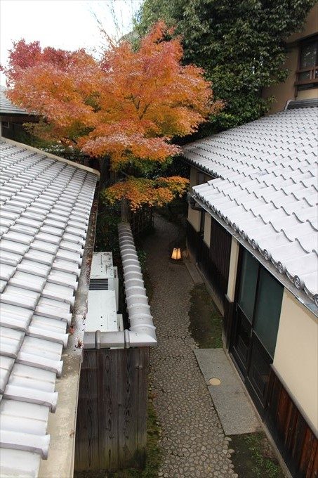 34ねねの小径(廊下から眺める)